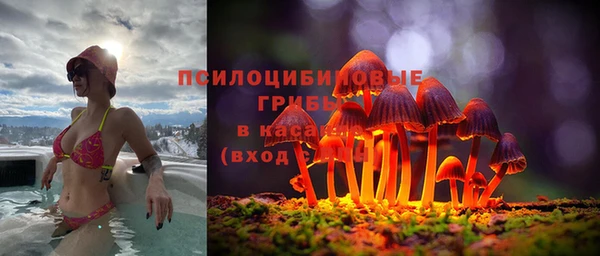 2c-b Абдулино