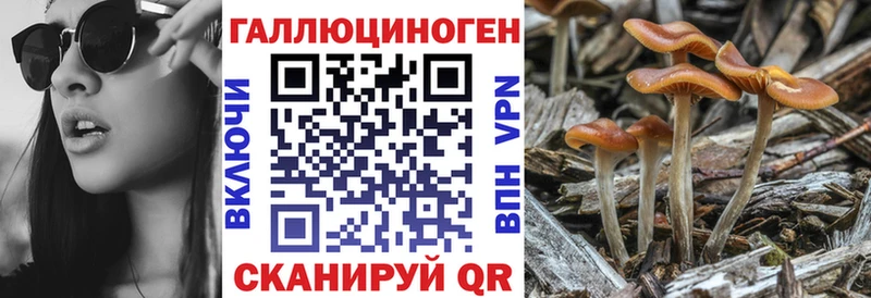 Псилоцибиновые грибы прущие грибы  Полтавская 